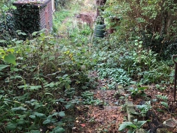 Overgrown Garden Clearance, Garden Tidy Up, Dublin and Kildare