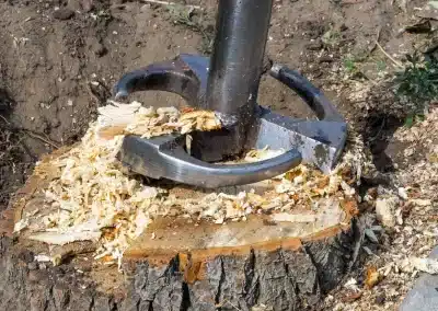 stump removal dublin