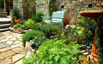 Expert Tree Care & Garden Services South Dublin